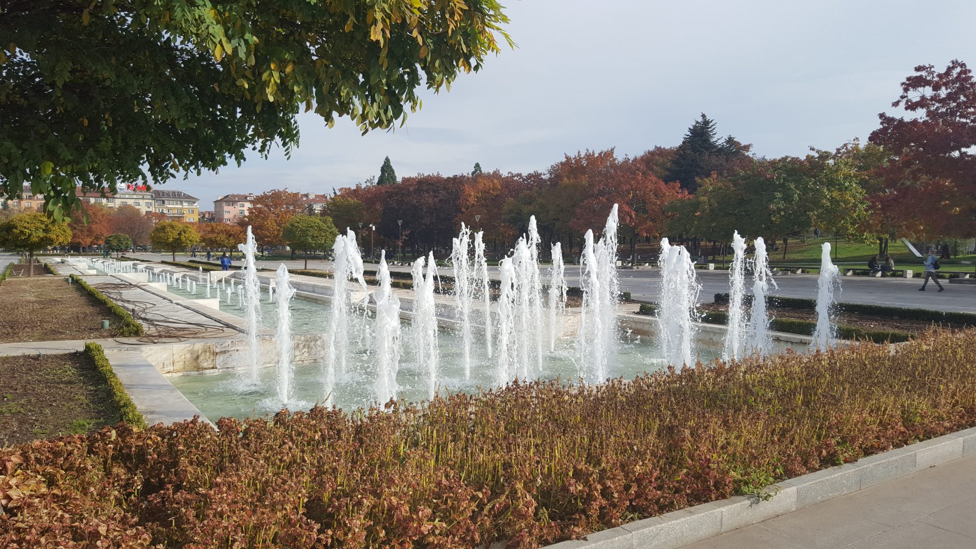 NDK in Sofia